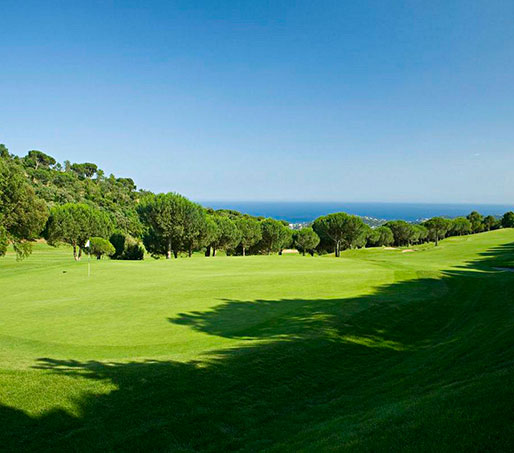home-the-course