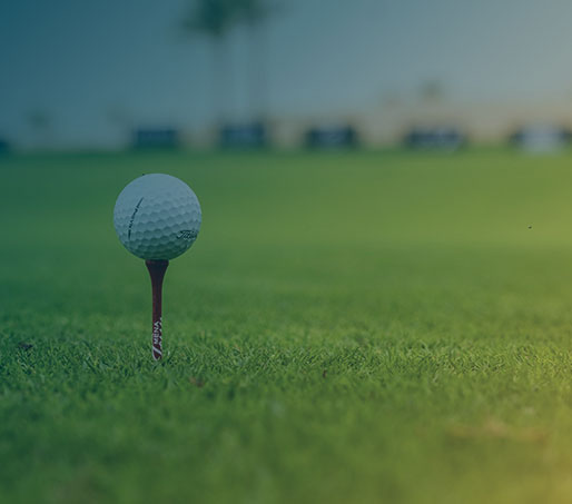green-fees-executive-introduccio green-fees-executive-introduccio